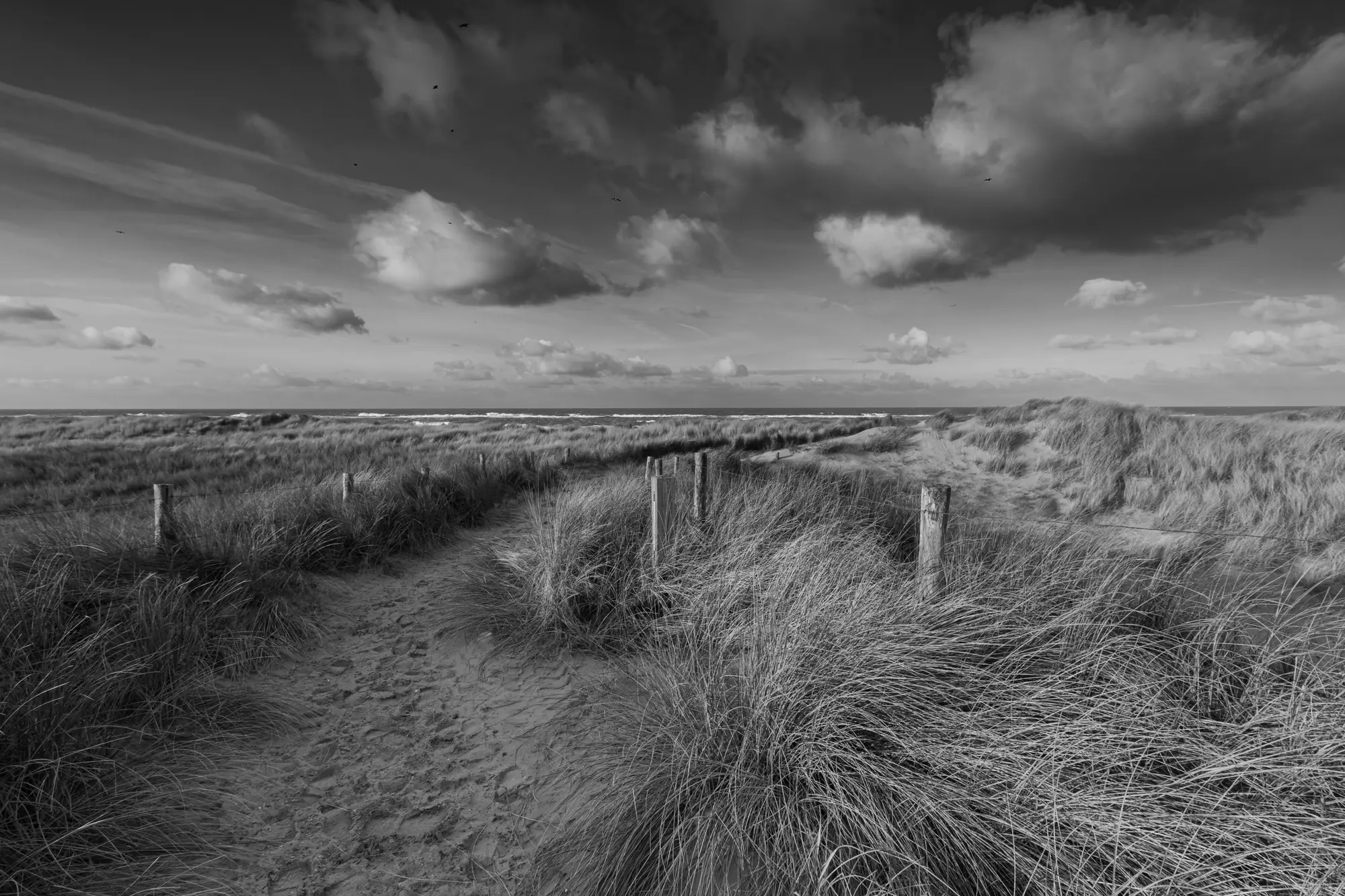 Weite Dünenlandschaft an der Nordsee unter bewölktem Himmel